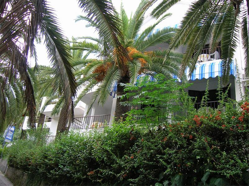 Apartmani I Sobe Goca Herceg Novi Extérieur photo