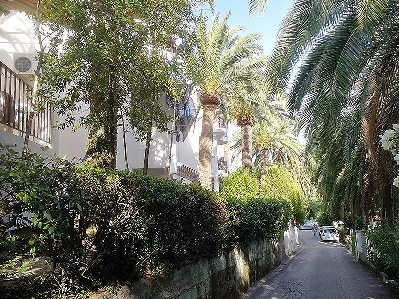 Apartmani I Sobe Goca Herceg Novi Extérieur photo