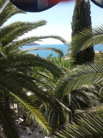 Apartmani I Sobe Goca Herceg Novi Extérieur photo